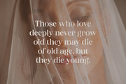 Adoha Modern Serif Font, a Serif Font by Storytype Studio (Thumbnail 11 of 15)