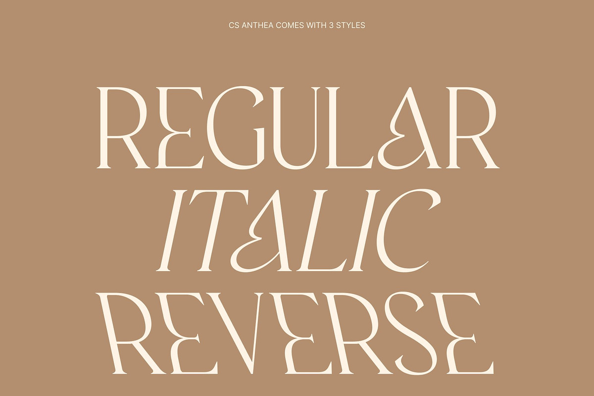 CS Anthea – Elegant Serif Font, a Serif Font by Craft Supply Co. (Photo 4 of 8)