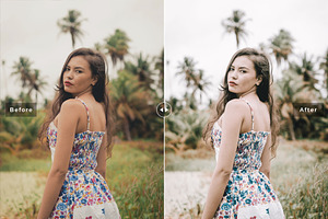 Wasabi Pro Lightroom Presets