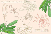 Fruit & Veggies Procreate Stamps, a Brush Add-On by Pink Studio Art (Thumbnail 7 of 8)