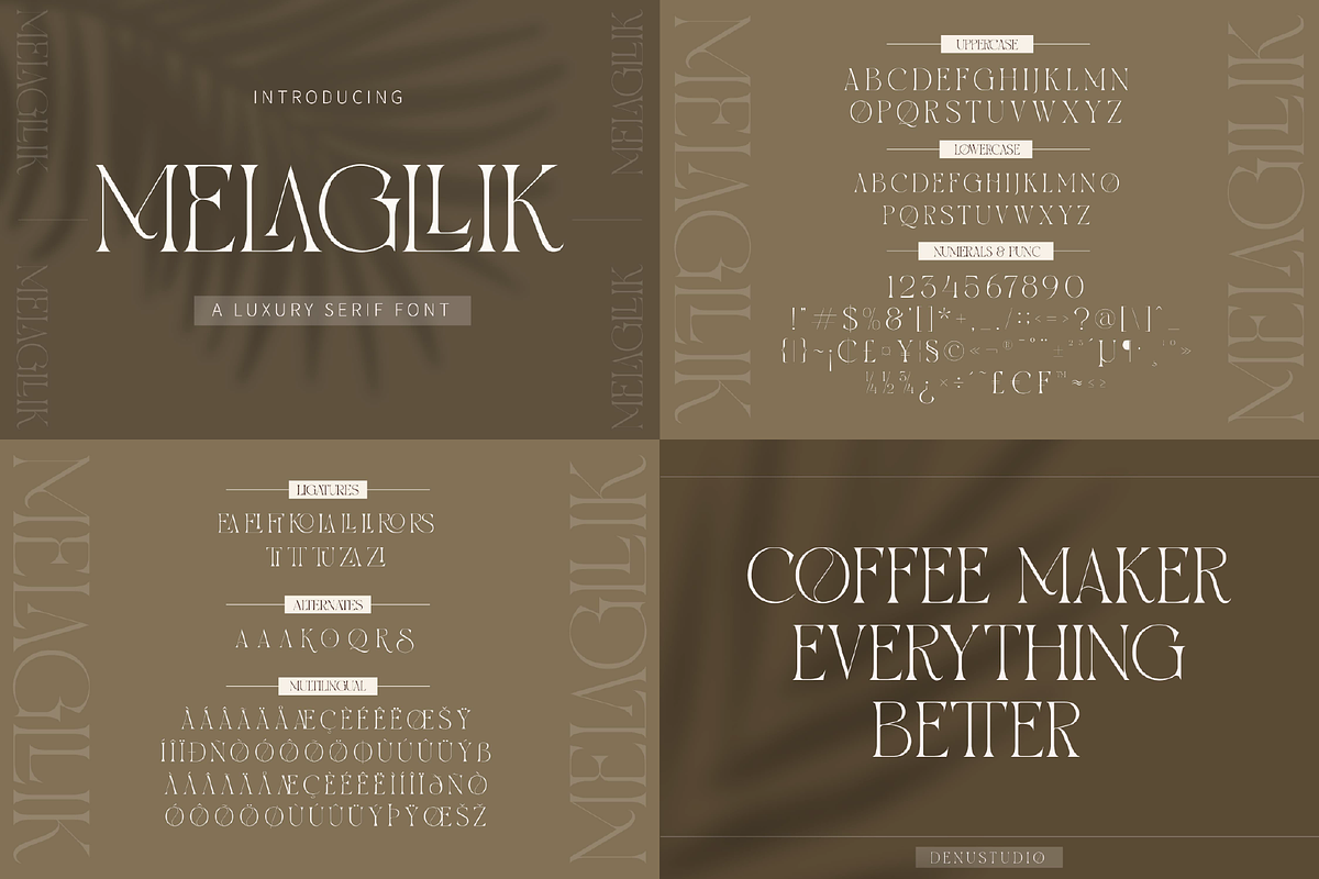 90% OFF! Modern Serif Font Bundle, a Serif Font by Denustudios (Photo 2 of 16)