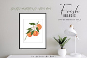 Fresh Oranges Clip art Set, a Graphic by SmallHouseBigPony (Thumbnail 3 of 9)