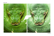 Shamrock Lightroom Presets Instagram, an Action Add-On by Filtercrave (Thumbnail 4 of 8)