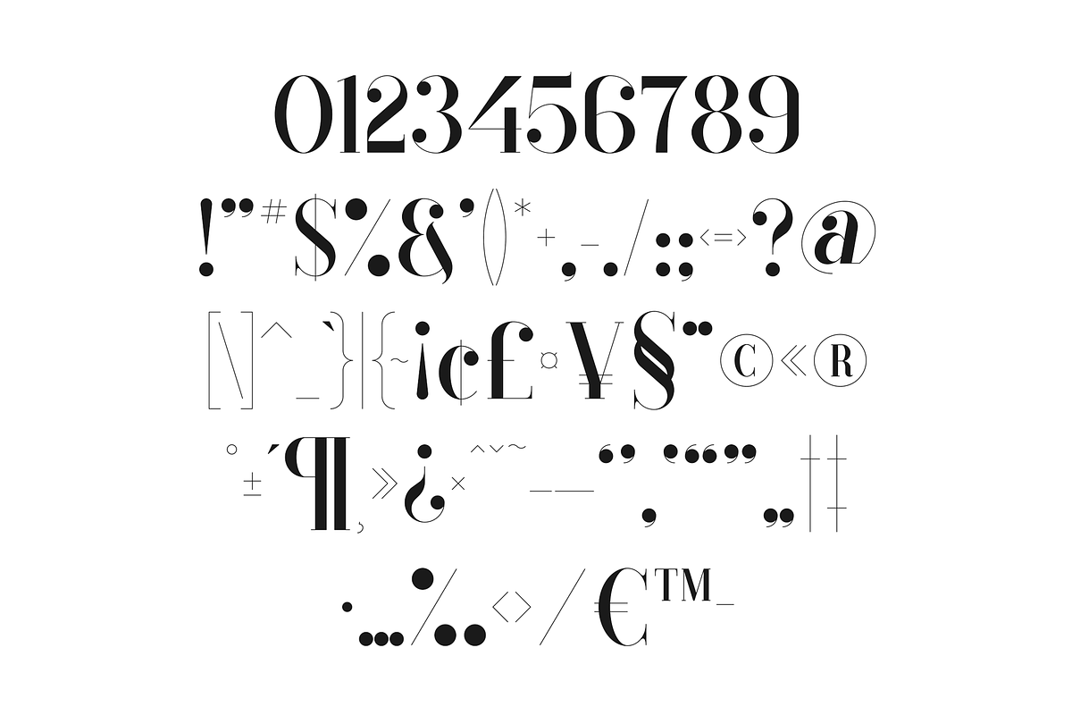 Black Goose Typeface - 5 fonts, a Serif Font by VP Fonts (Photo 9 of 15)