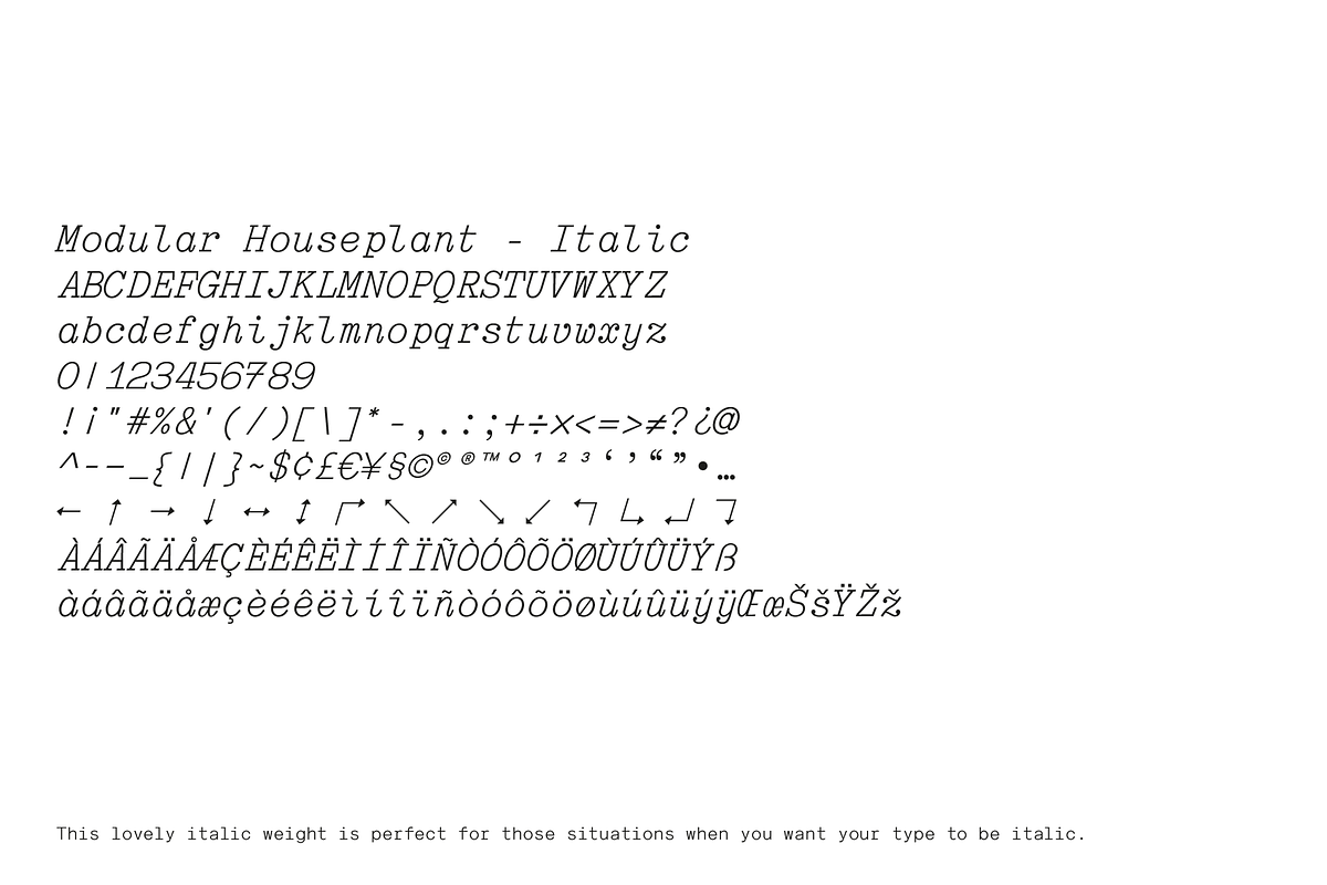 Modular Houseplant | Monospaced Font, a Sans Serif Font by Off The Rack © (Photo 7 of 9)