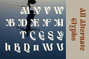 Quivert - Serif Display Font, a Serif Font by Dhabee (Thumbnail 6 of 17)