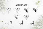 Wedding | Script Font, a Handwritten Font by Scratchones (Thumbnail 8 of 9)