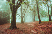 10 Stunning Matte Landscape Presets, a Preset Add-On by Timeless Presets (Thumbnail 6 of 13)
