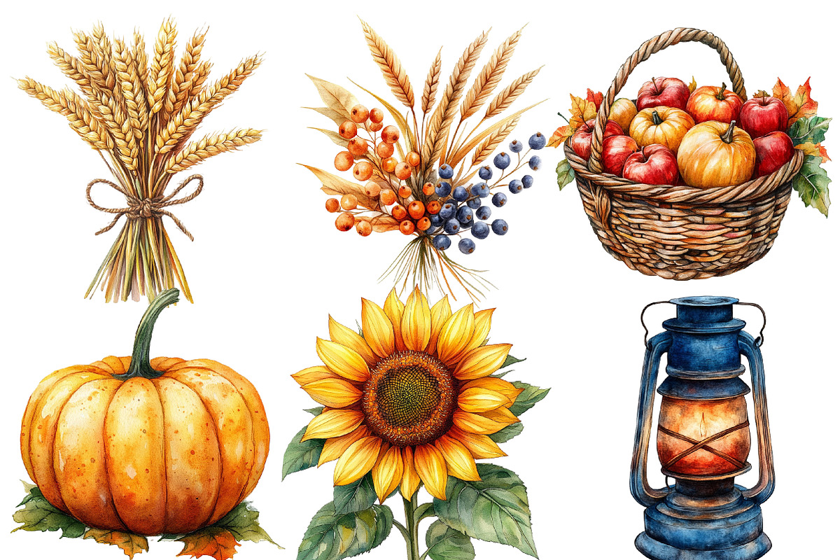 Watercolor Autumn  Harvest, an Illustration by Designworld (Photo 3 of 6)