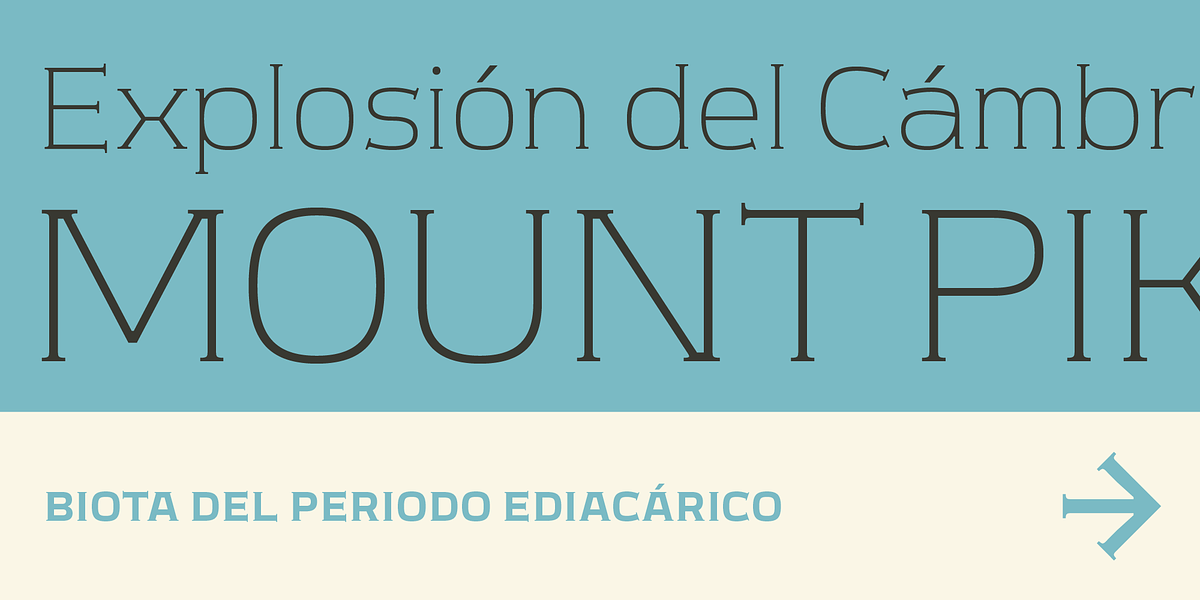 Meguro Serif, a Serif Font by GT&CANARY (Photo 7 of 12)