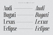 Captures The Waves | Modern Display, a Serif Font by Pentagonistudio (Thumbnail 4 of 10)