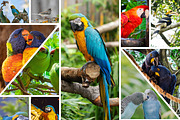 Collage Photo Frame Design, an Action Add-On by MRI STUDIO (Thumbnail 5 of 22)
