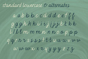 Saveria Handwritten Script Font, a Font by Evoke Type Studio (Thumbnail 13 of 15)