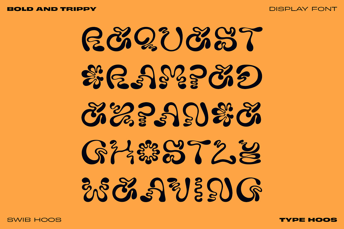 Swib Hoos - Display Font, a Handwritten Font by Type Hoos (Photo 4 of 8)