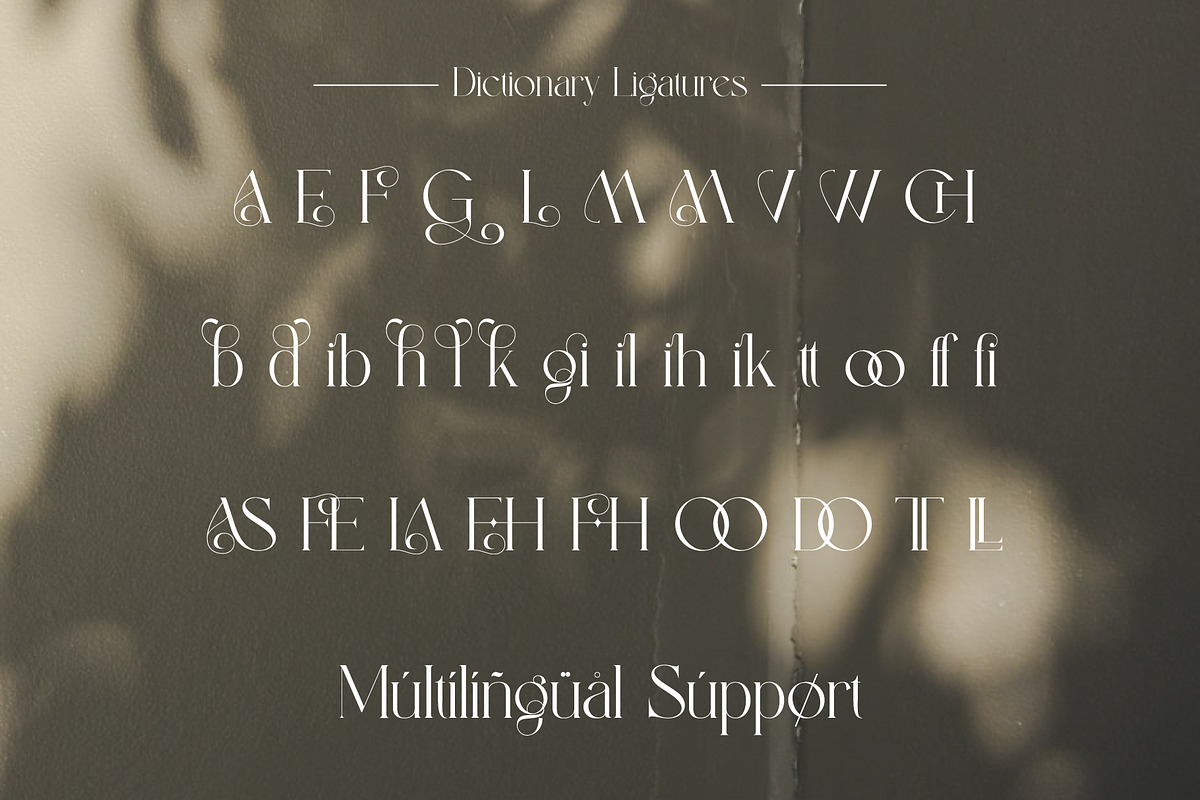 Bildan Modern Ligature Serif, a Serif Font by Alfinart (Photo 9 of 10)