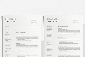 Sales Executive Resume Template