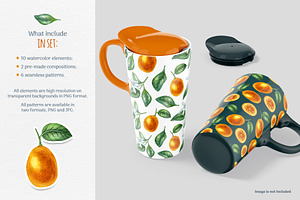 Fresh Citrus Watercolor Clipart.