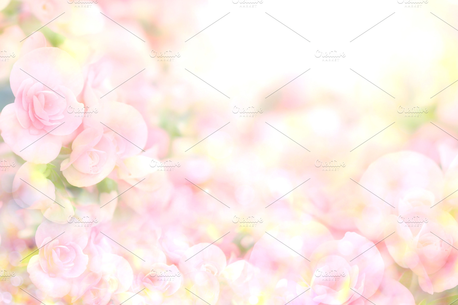 Soft sweet pink flower background containing background, flower, and love, an Abstract Photo by Cozine