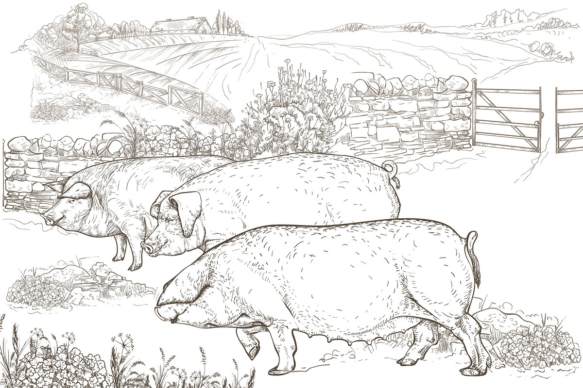Eco pig farm, an Object Graphic by ArtOwl (Photo 4 of 7)