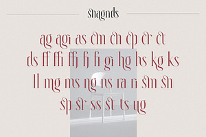 Snagrids Classy Ligature Serif