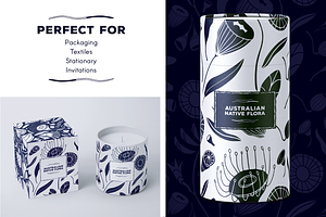 Australian Flora Vector Set