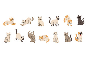 Cute cartoon cats in different poses, an Animal Illustration by GraphiShop