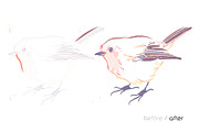 Pastel Pencil Brushes, a Brush Add-On by Side Project (Thumbnail 5 of 7)