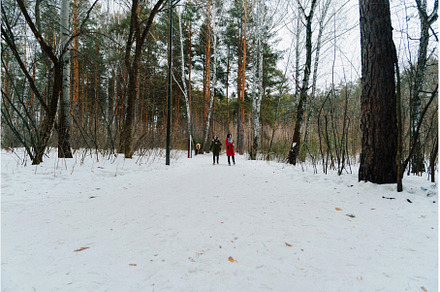 Two people walking in a snowy forest