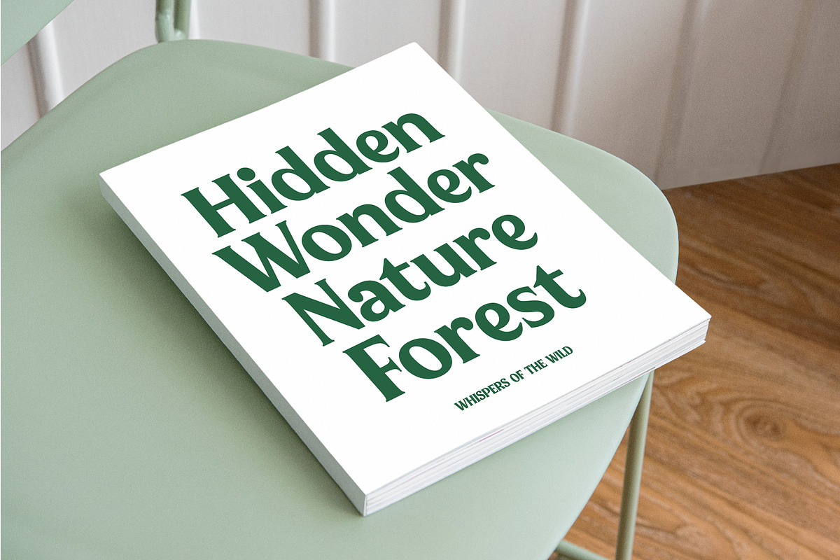 Milan Wulko Alternate Bold Serif, a Serif Font by timelesstype.co (Photo 9 of 20)