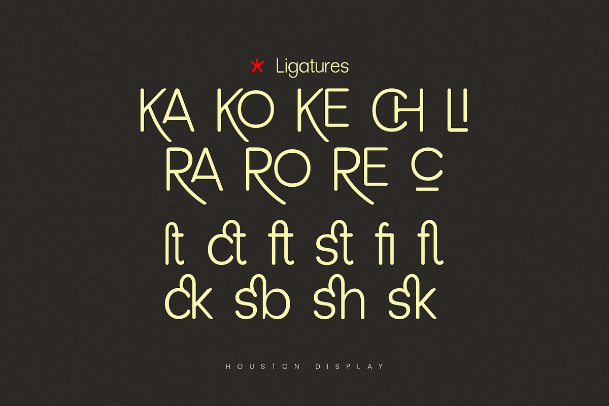 Houston, a Serif Font by Gatype (Photo 8 of 10)