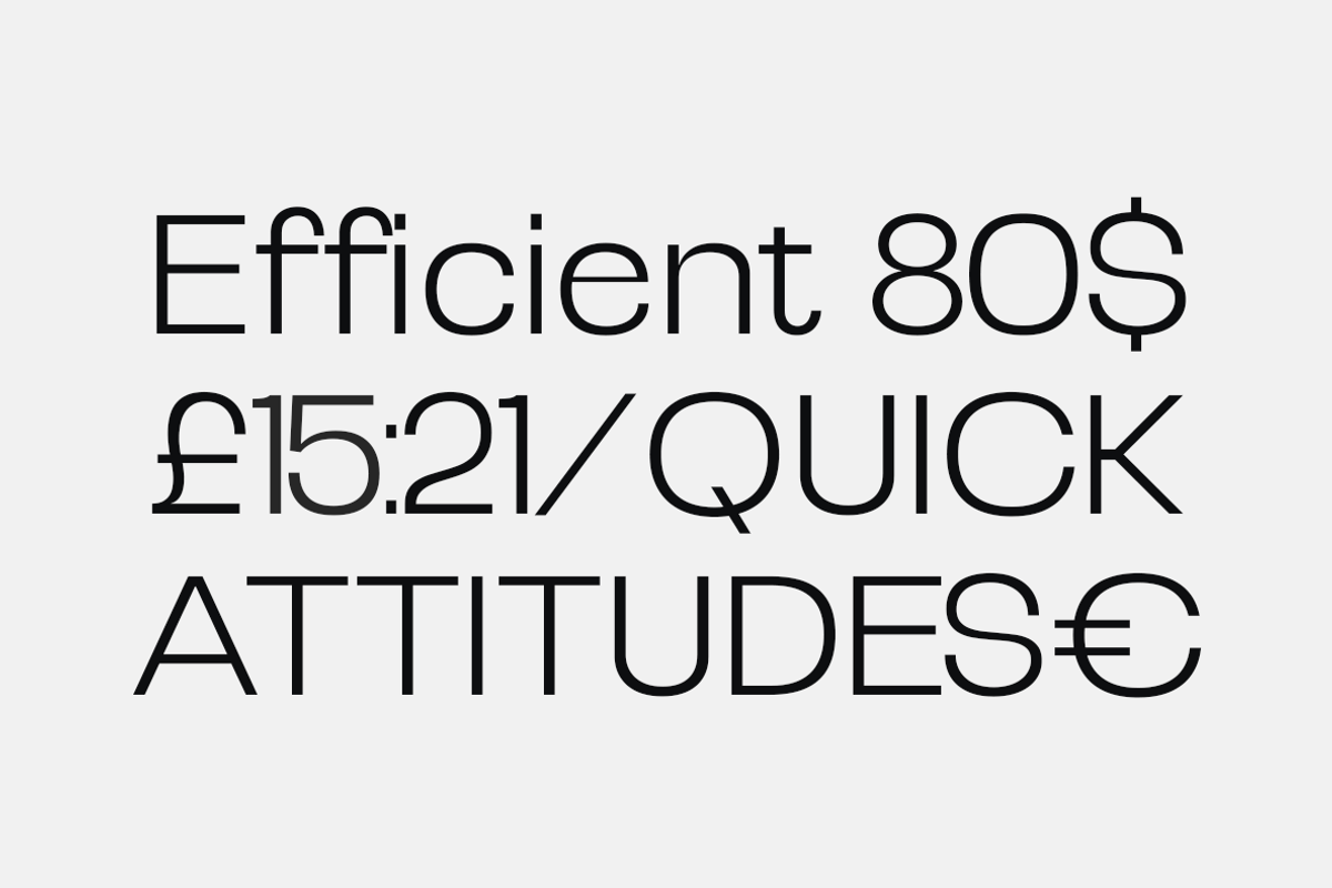 Selqova | Sans serif family, a Sans Serif Font by InkwellTypeCo (Photo 15 of 18)
