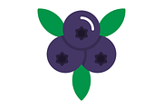Berries Flat Icon, an Icon by Pexelpy (Thumbnail 2 of 2)