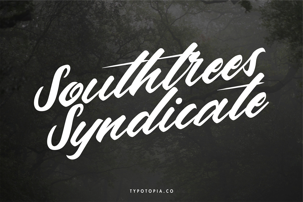 Andalas, a Script Font by edukka (Photo 6 of 9)