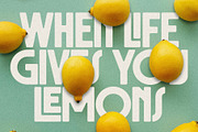 Collidge - Bold Ligature Rich Font, a Sans Serif Font by SilverStag Type Foundry (Thumbnail 9 of 16)