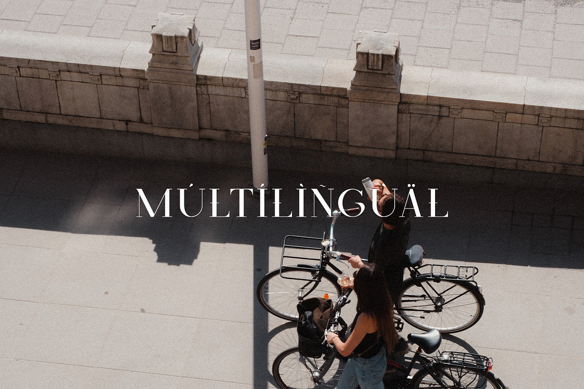 Zenith - Elegant Serif, a Serif Font by Schrifted Type (Photo 8 of 8)