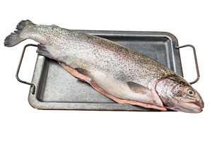 Whole raw rainbow trout on metal tray with herbs and spices flat, a Food & Drink Photo by composter-box@mail.ru