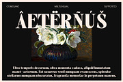 CS Megane – Bold Font, a Serif Font by Craft Supply Co. (Thumbnail 7 of 8)