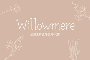 Willowmere Slab Serif, a Slab Serif Font by FreedomFunnels.co