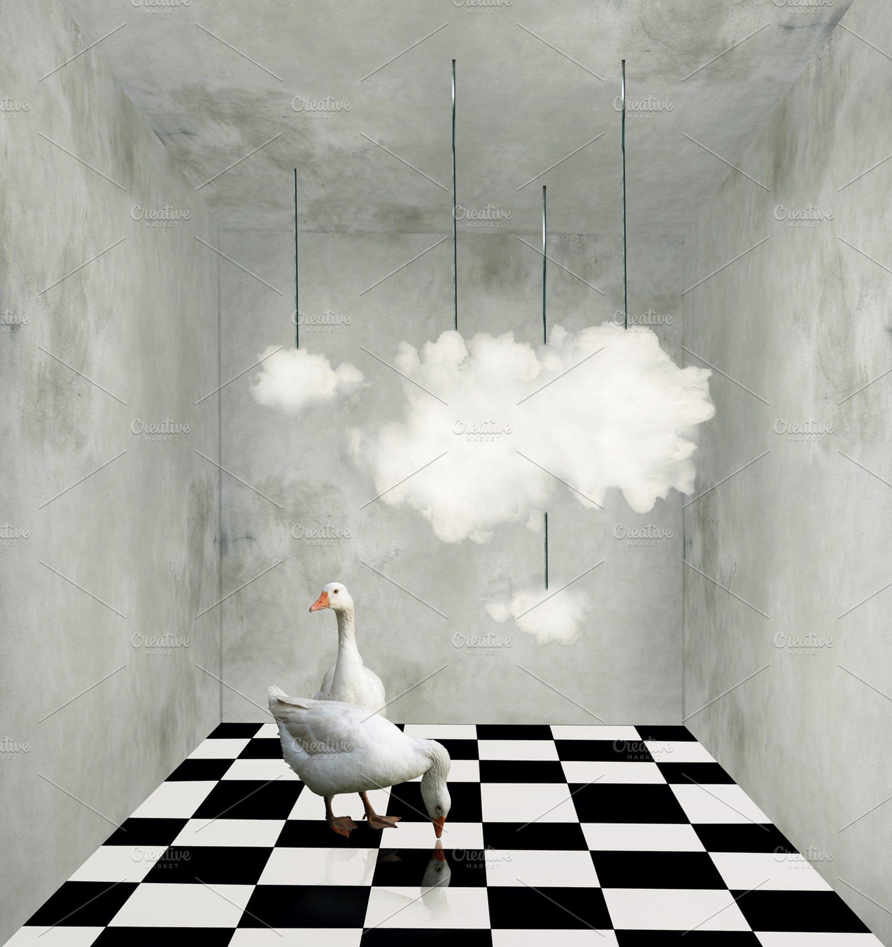 Clouds and geese in room