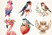 Lovely Birds Clipart Bundle, an Illustration by DreamCafeArt (Thumbnail 2 of 5)