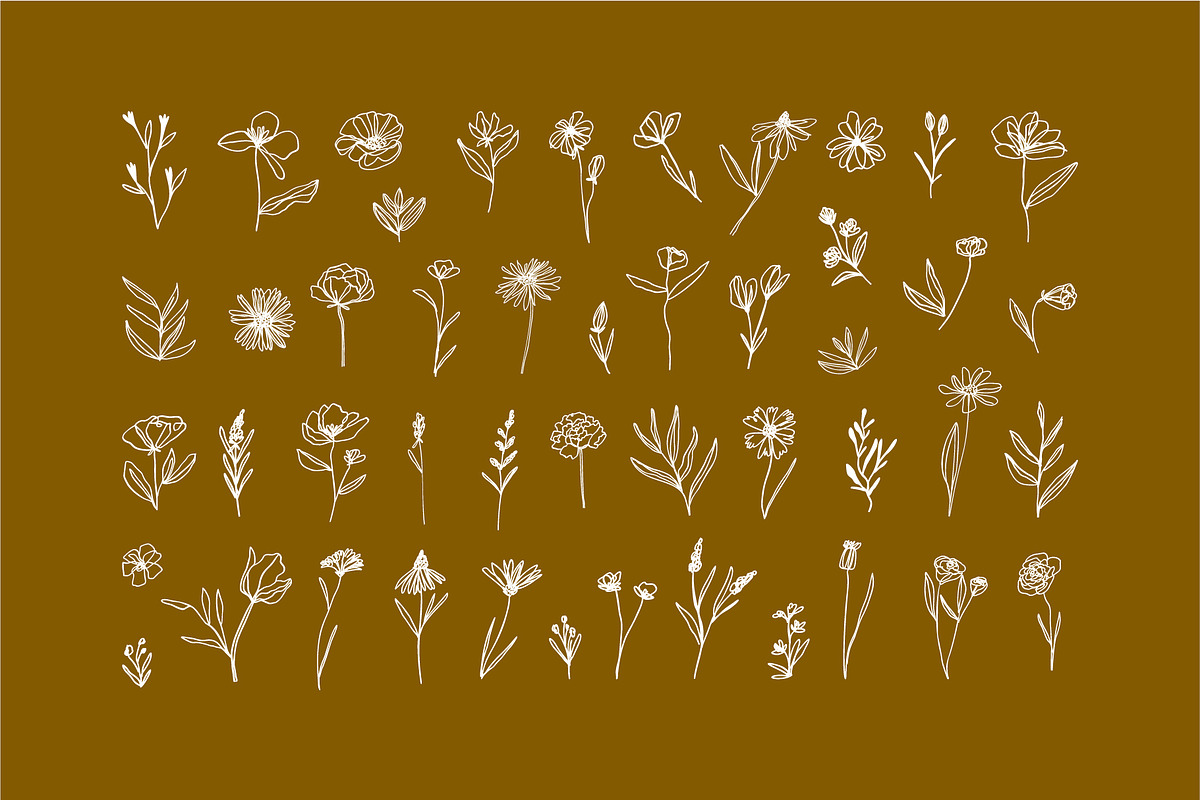 Elegant Botanicals | 100% Hand drawn, a Decorative Illustration by Olia (Photo 6 of 14)