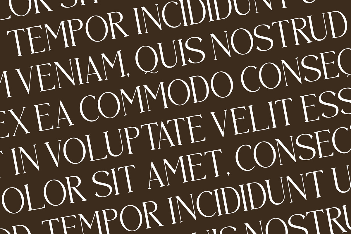 Brastoville - Modern Serif Font, a Serif Font by Rishsketch (Photo 5 of 15)