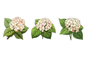 Cartoon Pink Hydrangeas With Green