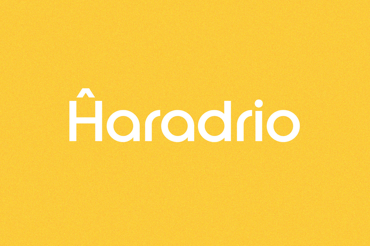 Roie Logo Font, a Sans Serif Font by Shina Design (Photo 7 of 8)