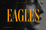 Eagles Serif Font, a Serif Font by Perfectype (Thumbnail 1 of 8)