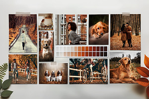 Autumn Mood Board Mockup Template, a Card Template by BrandPacks