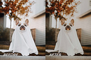 15 Fall Lightroom Presets, a Preset Add-On by TheWayfarerShoppe (Thumbnail 5 of 9)