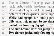 Lordines, a Serif Font by din-studio.com (Thumbnail 5 of 15)
