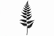 Elegant Fern Leaf Silhouette Bundle, an Illustration by Designs_River (Thumbnail 6 of 9)