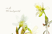 Watercolor Daffodils Floral Wall Art, a Decorative Illustration by MariaScaroniAtelier (Thumbnail 5 of 8)